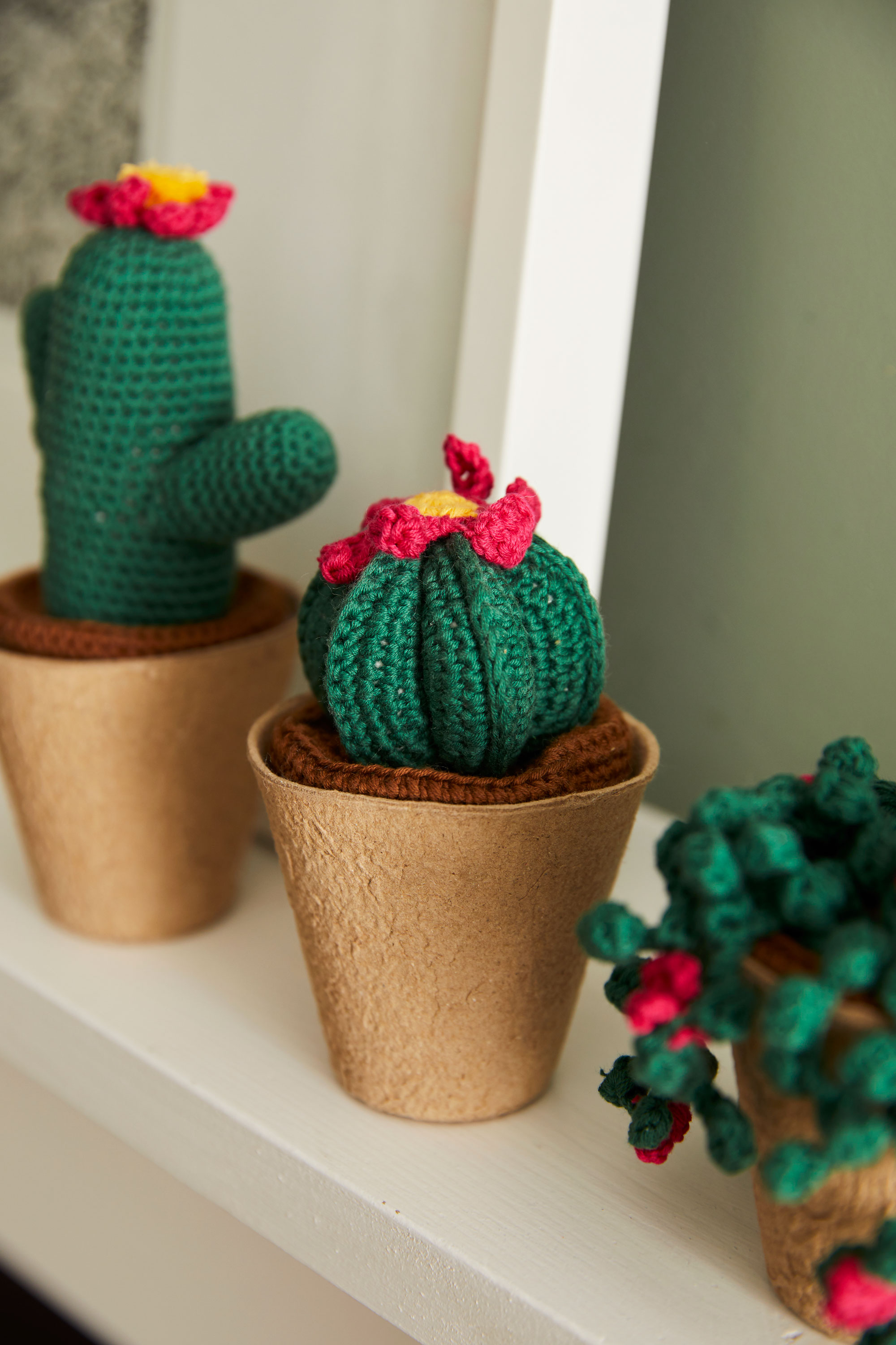 Cactus and Succulent Crochet Kit – Club Crochet