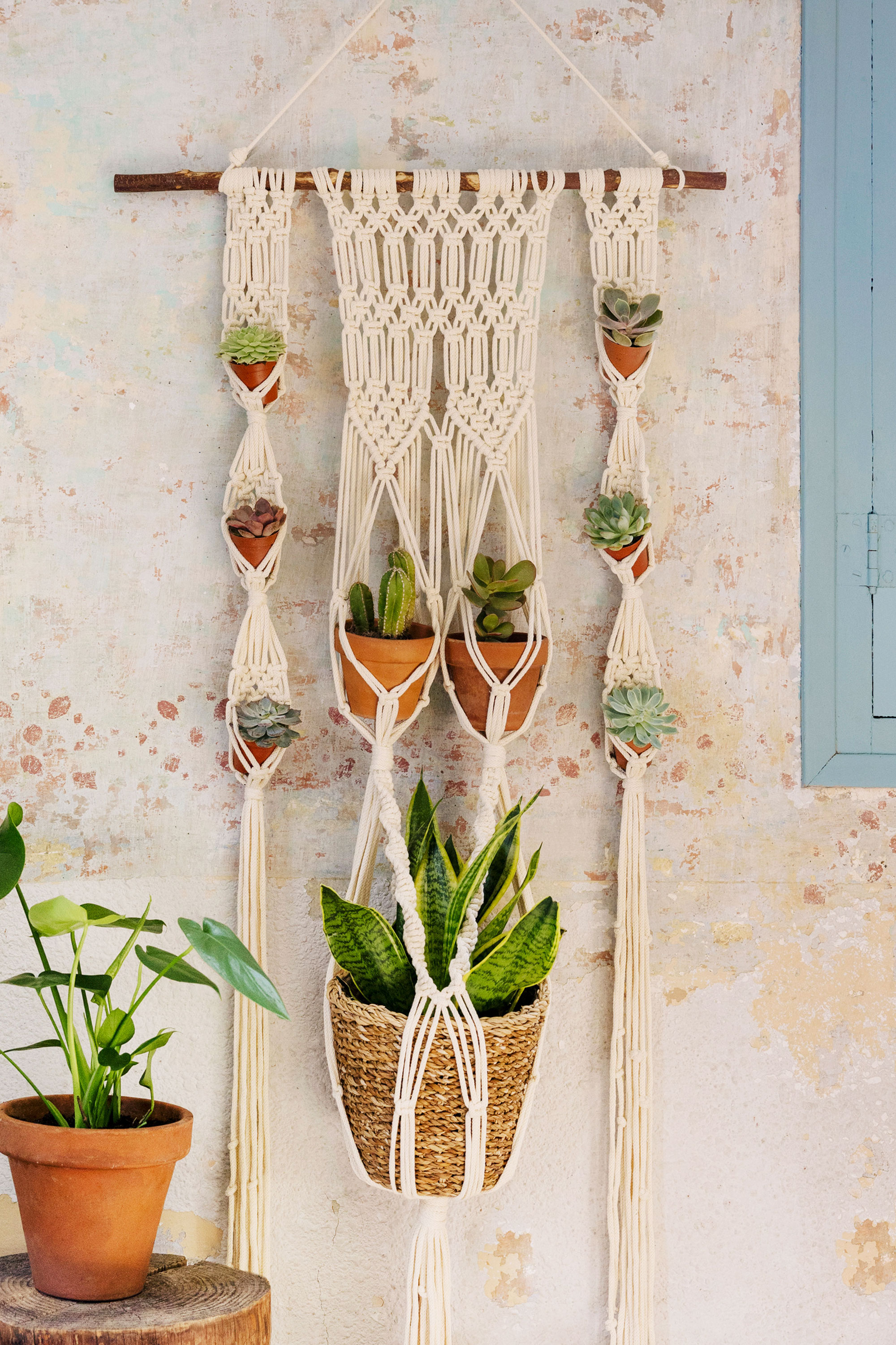 Image for KNIT-MACRAME-384-CACTUS