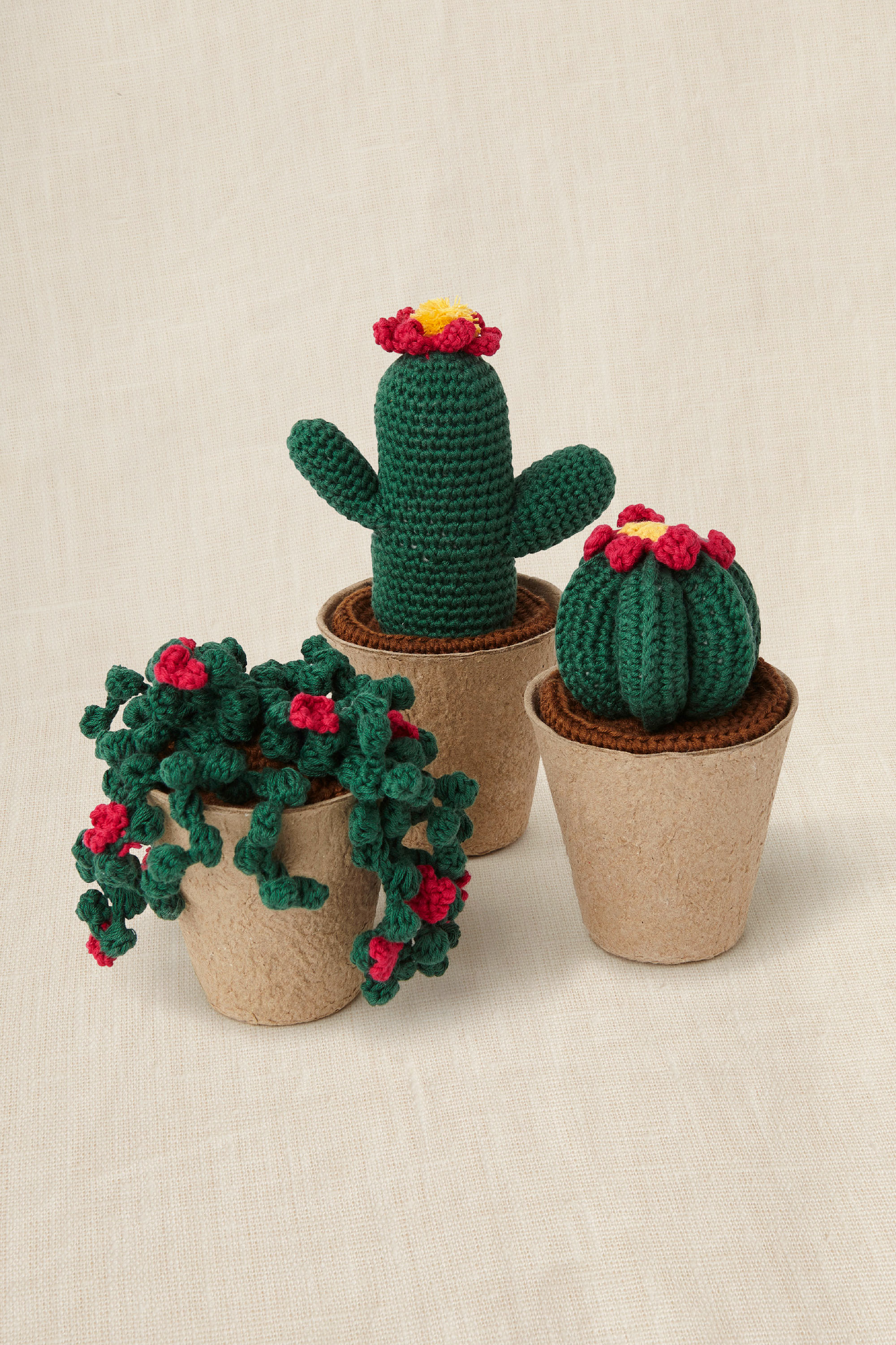 Kit Uncinetto Cactus Amigurumi DMC