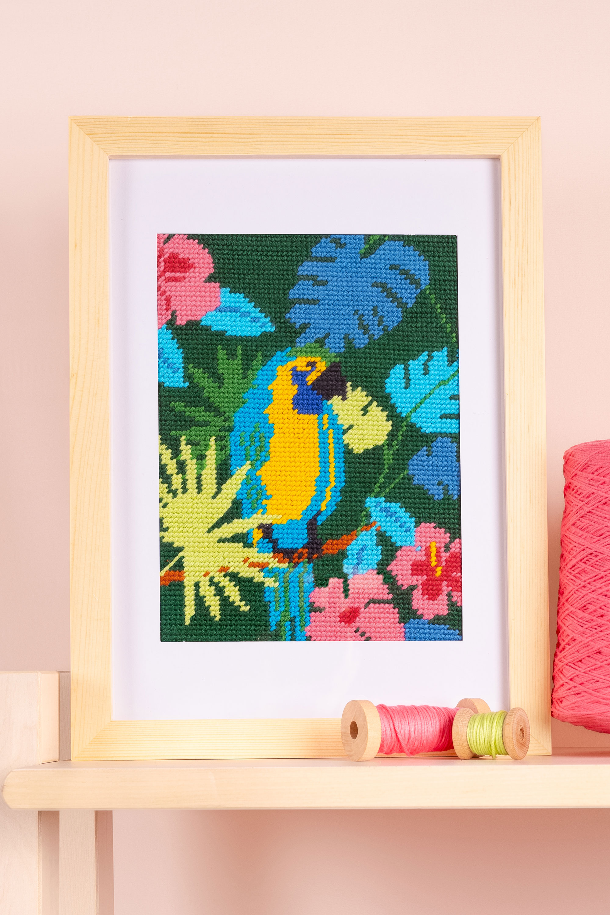 Image for C2501_BUNDLE